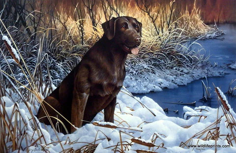 Jerry Gadamus Print-Signed and Numbered:"Candlewood Cash"