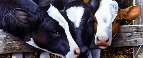 Jerry Gadamus Print-Signed and Numbered:"Dairy Queens"