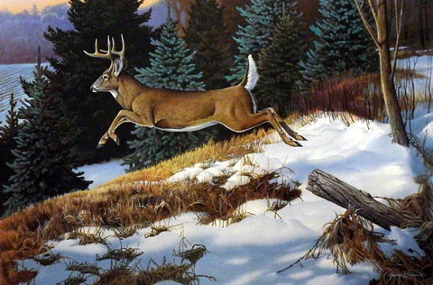 Jerry Gadamus Print-Signed and Numbered:"Downhill Run"