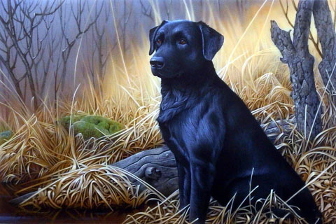 Jerry Gadamus Print-Signed and Numbered:"Ebony"