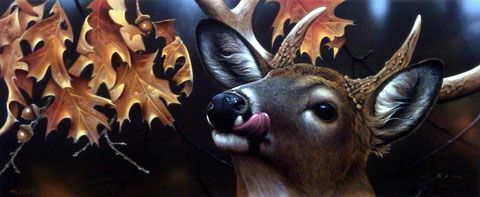 Jerry Gadamus Print-Signed and Numbered:"Lickin' Stick"