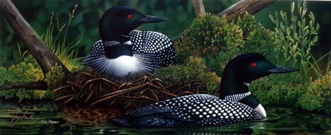 Jerry Gadamus Print-Signed and Numbered:"Morning Stillness"