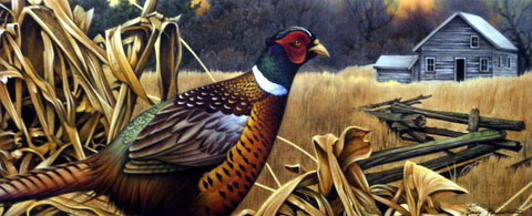 Jerry Gadamus Print-Signed and Numbered:"Pheasant Feast"