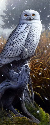 Jerry Gadamus Print-Signed and Numbered:"Snow Raptor"