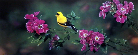 Jerry Gadamus Print-Signed and Numbered:"The Color of Gold"