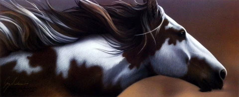 Jerry Gadamus Print-Signed and Numbered:"Wind Chaser"