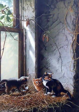 Jerry Gadamus Print-Signed and Numbered:"Window Sills and Whiskers"