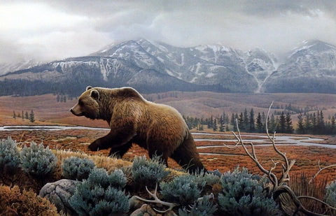 Jerry Gadamus Print-Signed and Numbered:"Yellowstone Mist-Grizzly"