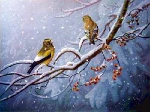 Jerry Gadamus Signed and Numbered Limited Edition Lithograph: "Touch Of Gold"