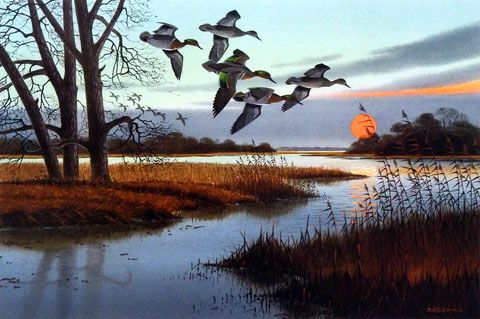Jerry Raedeke Print-Signed and Numbered:"Little Bullets"