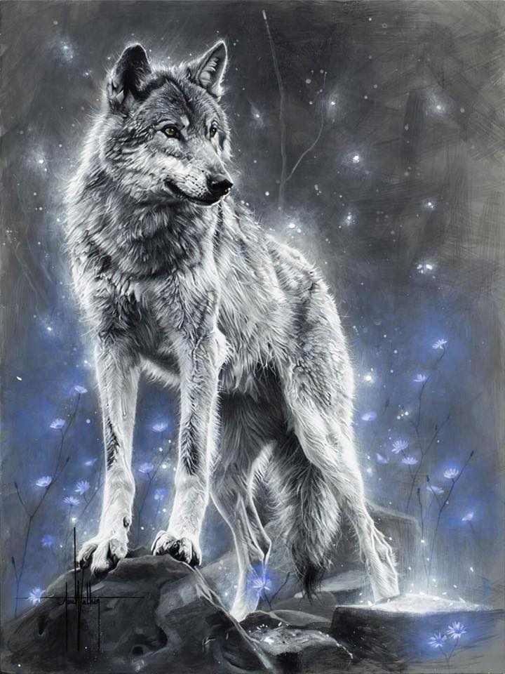 Jess Wathen Hand Signed Artist Proof Limited Edition Canvas Giclee:"Sweet Shadow "