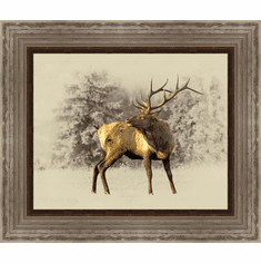 Gallerydirectart