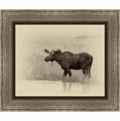 Gallerydirectart