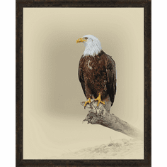 Gallerydirectart