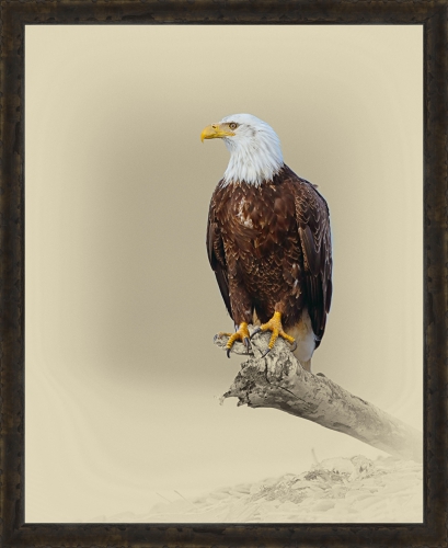 Jim Brown 27 x 22 Canvas Giclee Art:"On Guard"
