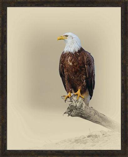 Jim Brown 27 x 22 Canvas Giclee Art:"On Guard"