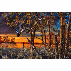 Jim Hansel Ducks Unlimited 24x36 Gallery Wrapped Canvas Art: "Return to the Refuge"