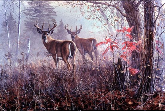 Jim Hansel Hand Signed and Numbered Limited Edition Canvas: "Double Vision"