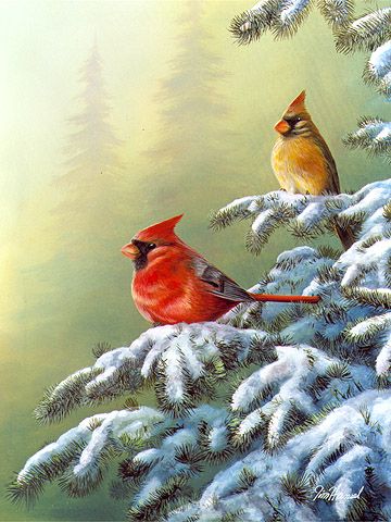 Jim Hansel Hand Signed and Numbered Limited Edition Canvas: "Winter Refuge (Cardinals)"