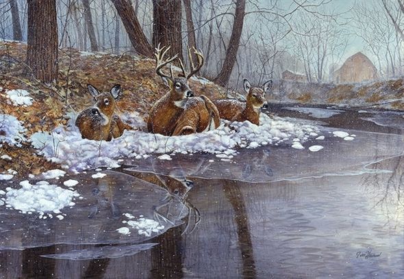 Jim Hansel Hand Signed and Numbered Limited Edition Print: "Creekside"