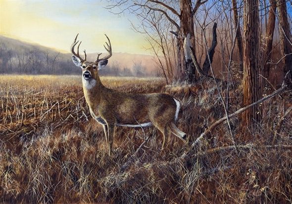 Jim Hansel Hand Signed and Numbered Limited Edition Canvas:"Bluff Country Buck"
