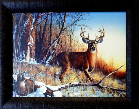 Jim Hansel Studio Canvas:"Resting Place Studio Canvas Framed"