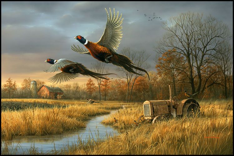Jim Hautman Hand Signed Artist Proof Limited Edition:"Back Forty-Pheasants"