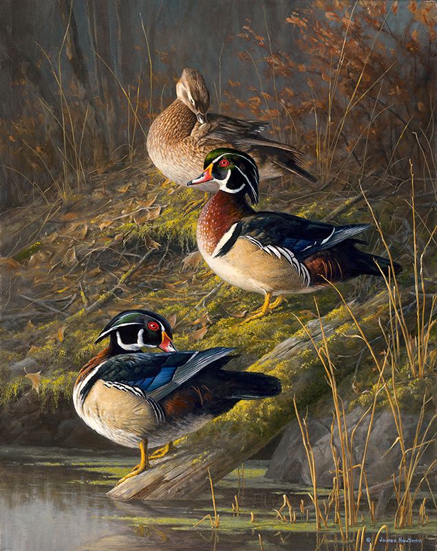Jim Hautman Artist Signed Limited Edition Canvas Giclee: "Private Pool- Wood Ducks"