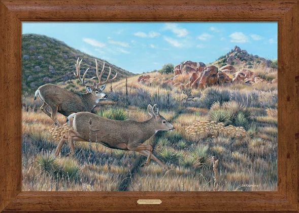 Jim Kasper Framed Gallery Canvas: "In Pursuit-Mule Deer"
