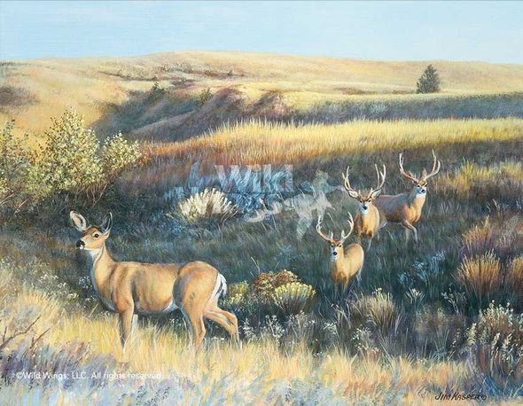Jim Kasper Hand Signed and Number Limited Edition Print:"Showing Off - Mule Deer"