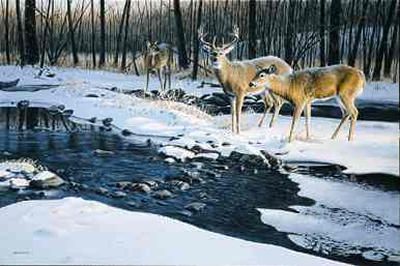 Jim Kasper Hand Signed and Numbered Limited Edition Print: "Flowing Harmony"