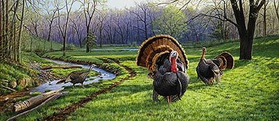 Jim Kasper Hand Signed Limited Edition Artist Proof Print:"Spring Fed-Wild Turkeys "