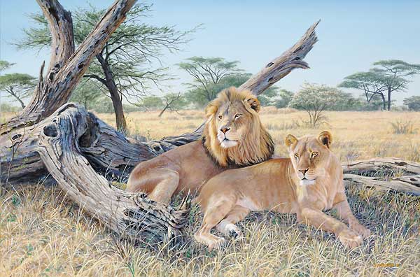 Jim Kasper Hand Signed & Number Limited Edition:"Ardent Pair - Lions"
