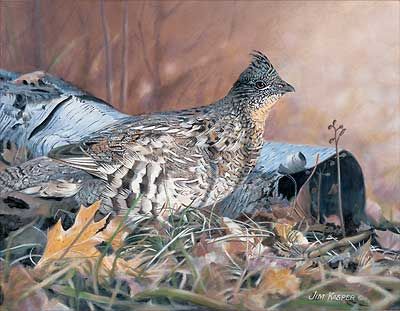 Jim Kasper Handsigned and Numbered Limited Edition Print: "Hollow Birch"