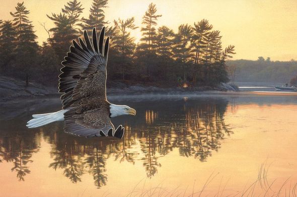 Jim Kasper Artist Proof Limited Edition Print:"Gone Fishing-Bald Eagle"