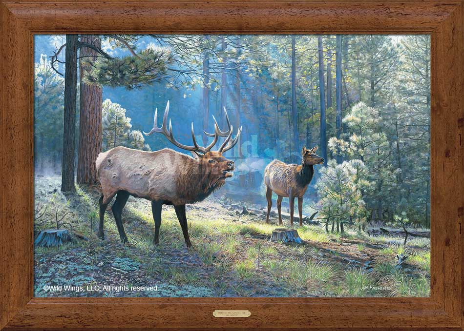 Jim Kasper Limited Edition Framed Oversize Gallery Canvas:"Spirited Exchange - Elk"
