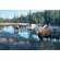 Jim Kasper Limited Edition Premier Gicl&eacute;e Canvas:"Now Showing - Moose"