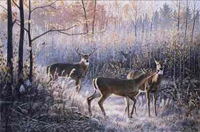 Jim Kasper Limited Edition Print: "Chance Encounter"