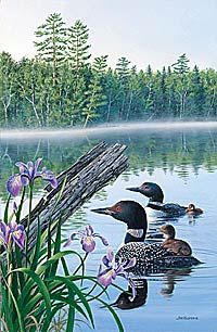 Jim Kasper Limited Edition Print: "Season's Of The Lake-Summer"