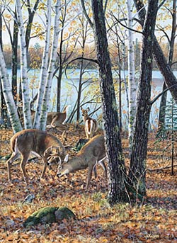 Jim Kasper Limited Edition Print:"Season Wood-Confrontation "
