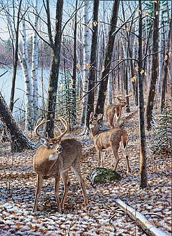 Jim Kasper Limited Edition Print:"Season Wood-Courtship "
