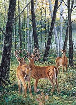 Jim Kasper Limited Edition Print:"Season Wood-Velvet "
