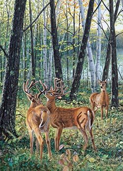 Jim Kasper Limited Edition Print:"Season Wood-Velvet "