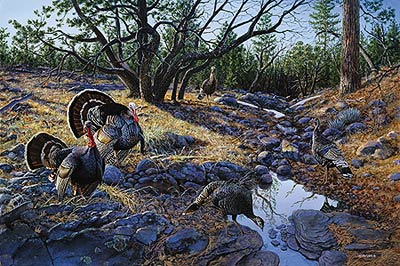 Jim Kasper Limited Edition Print:"Western Ritual-Turkeys "