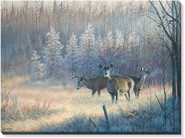 Jim Kasper Open Edition Oversize Gallery Wrapped Canvas Giclee: "Morning Trio - Whitetail Deer "