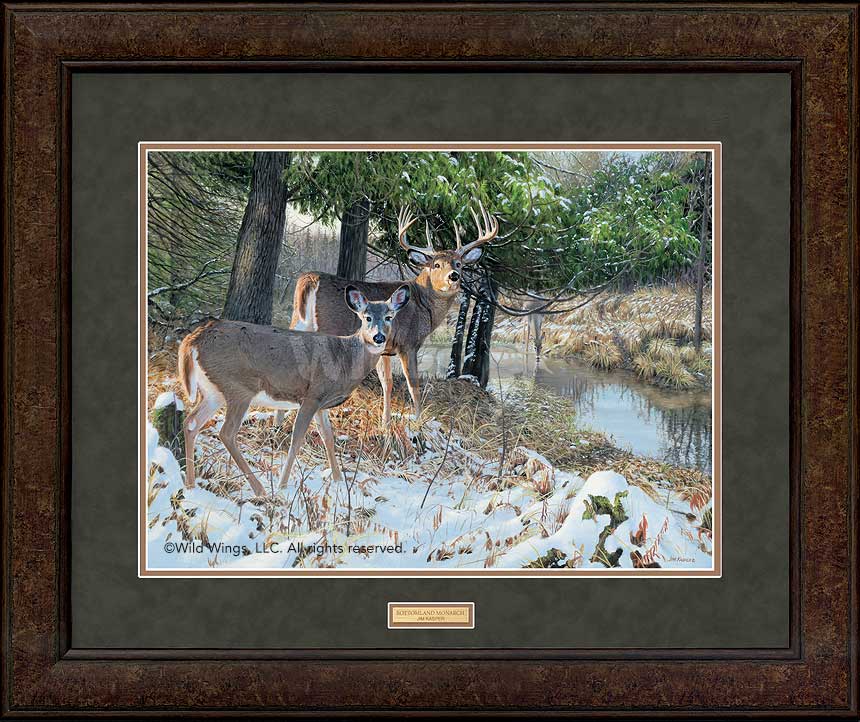 Jim Kasper Open Edition Premium Framed Print: "Bottomland Monarch-Whitetail Deer"