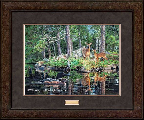 Jim Kasper Premium Framed Art Print:"Neighbors-Whitetail Deer and Loons"