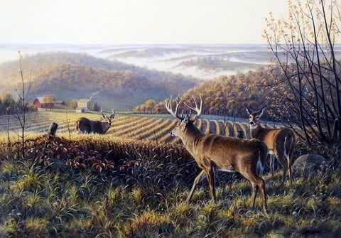 Jim Kasper Print-Signed and Numbered:"Fenceline Crossing"