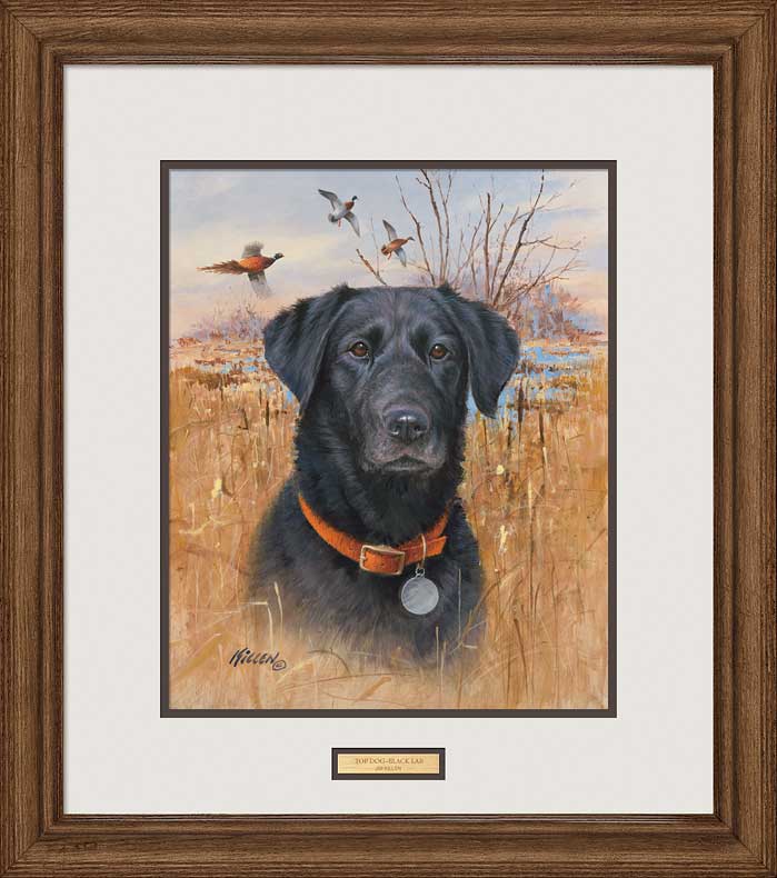Jim Killen Artist Hand Signed Framed Print:"Top Dog - Black Lab"