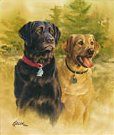 Jim Killen Edition Print:"A Good Pair - Labs"